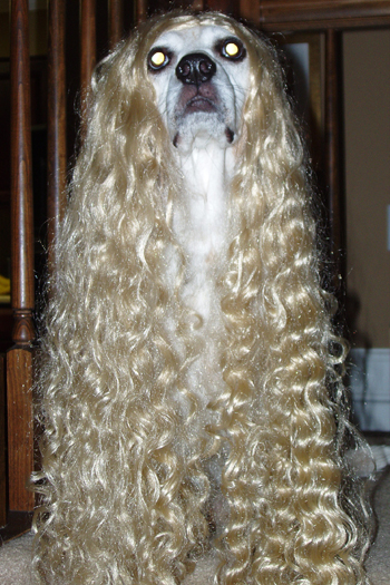 Cousin Tanner - 2004