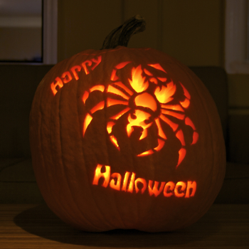 2010 - Spider 2010 - Spider