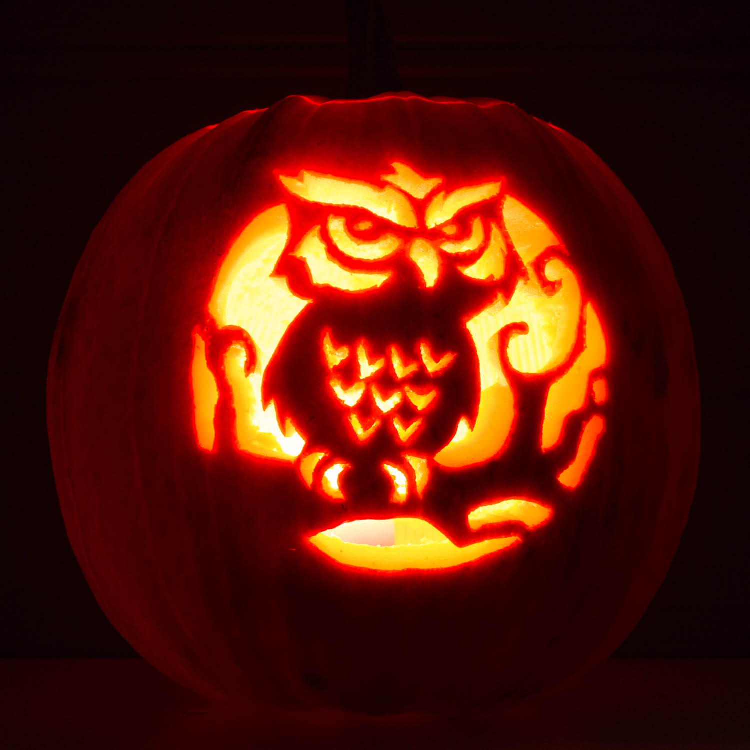 2013 - Owl 2013 - Owl